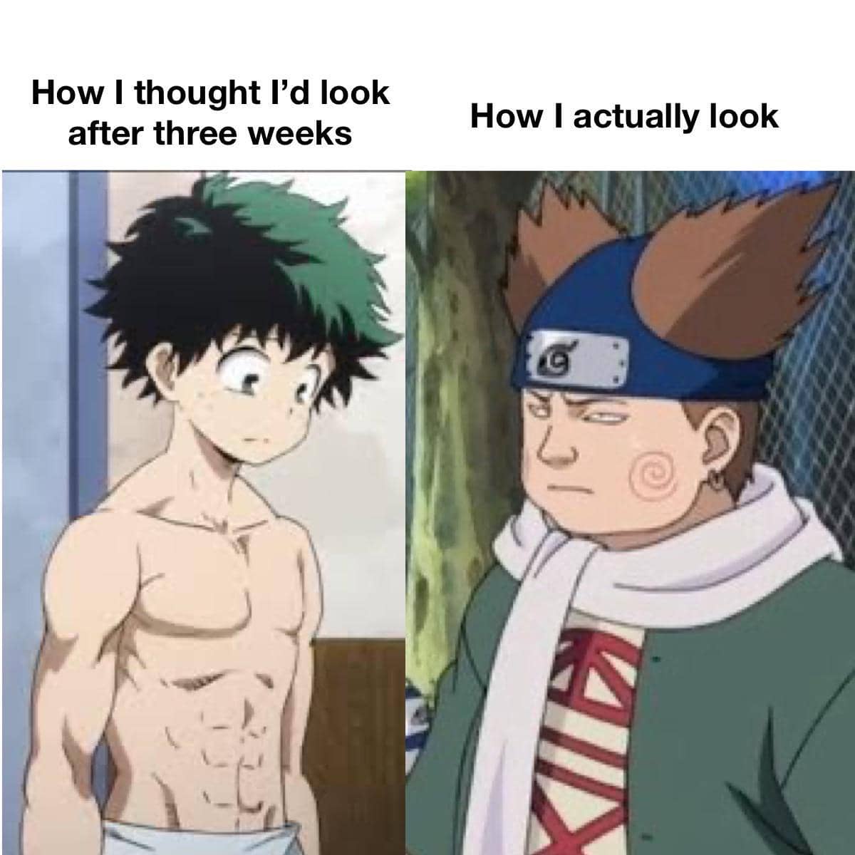 meme kartun tentang diet