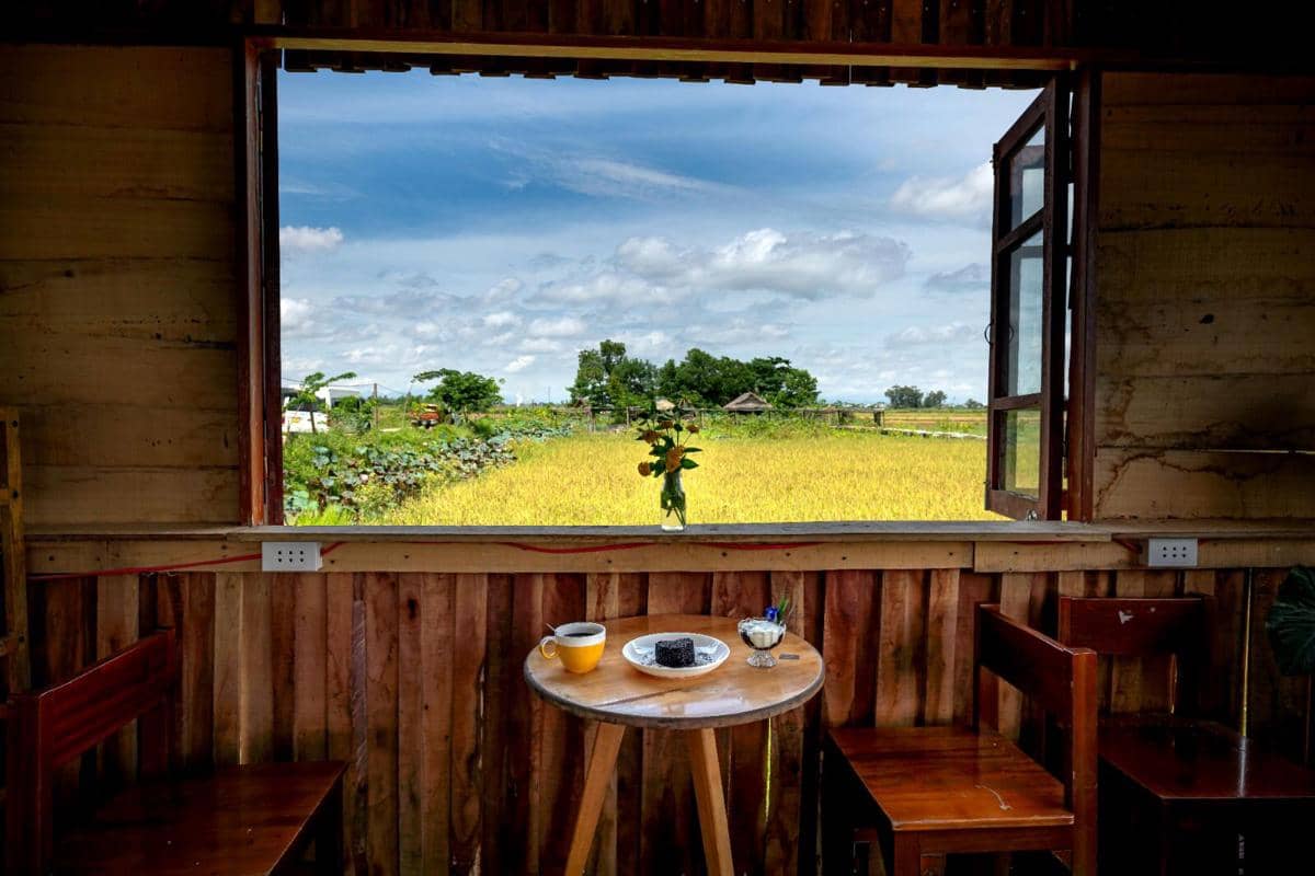 Ilustrasi kafe outdoor dengan suasana pedesaan dan pemandangan sawah.