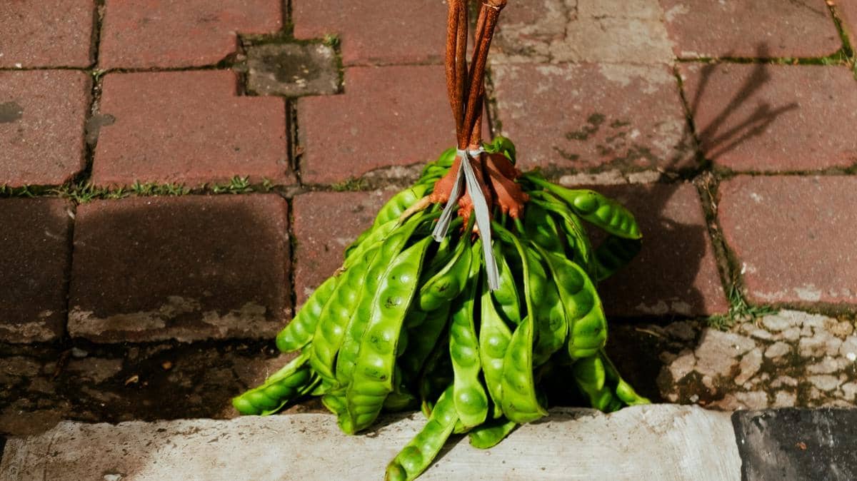 Cara Simpan Petai dan Jengkol agar Aromanya Tidak Menyebar