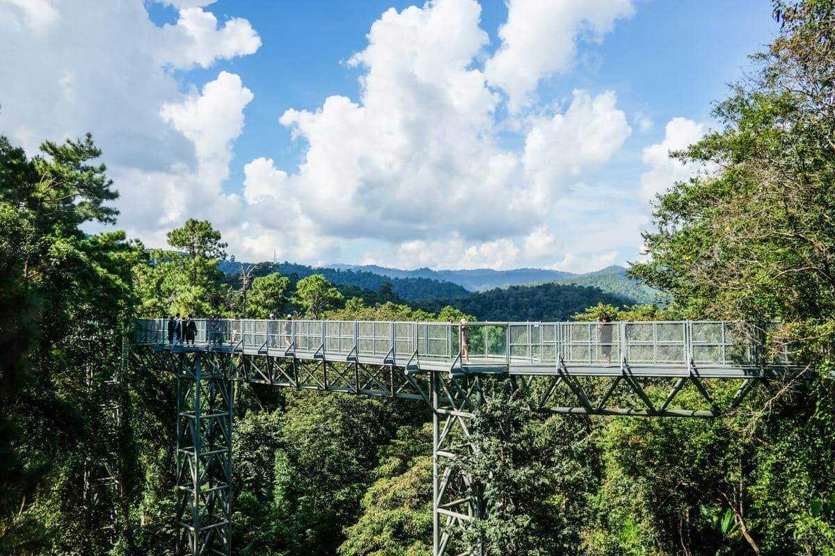 ilustrasi jembatan kaca 