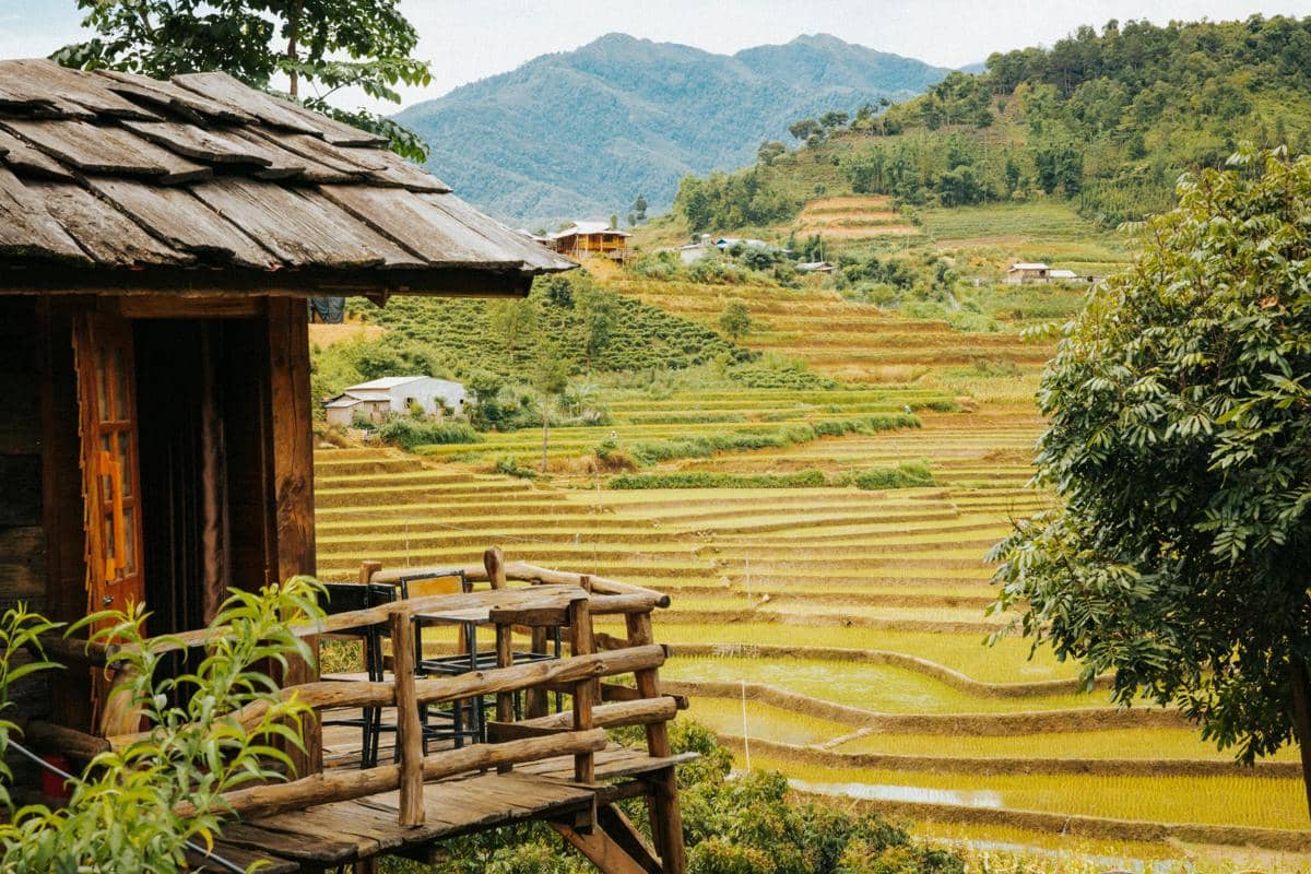 Ilustrasi restoran bernuansa tradisional dengan pemandangan sawah.