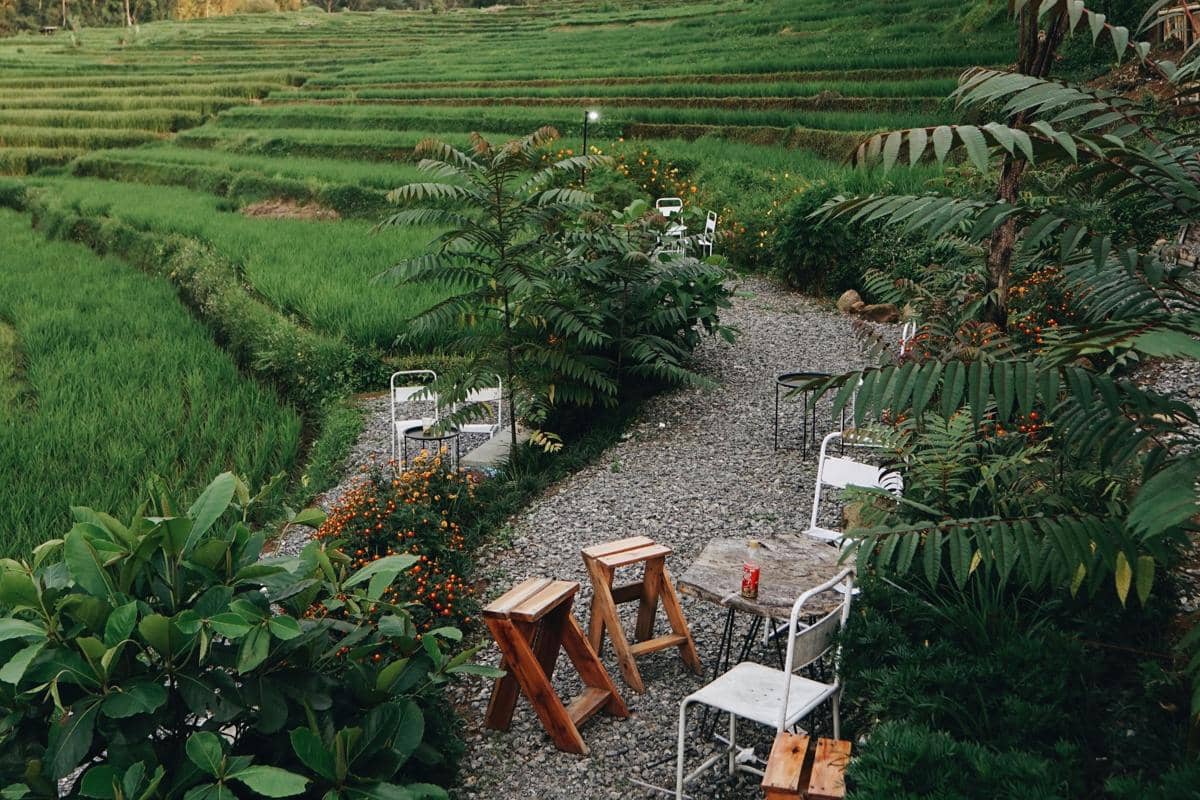 Ilustrasi tempat makan bernuansa alam dengan area terbuka menghadap sawah. 