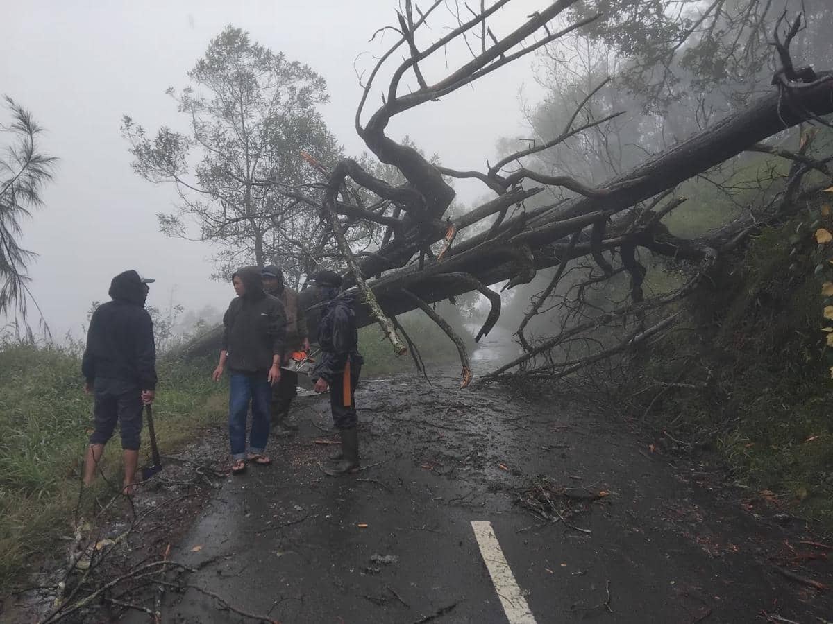 Cuaca Ekstrem, Pendakian Ranu Regulo Ditutup
