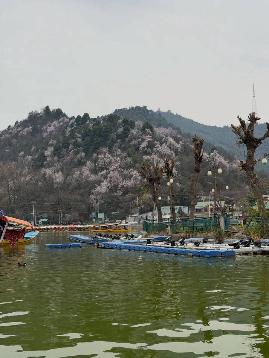 unggahan Reem Shaikh