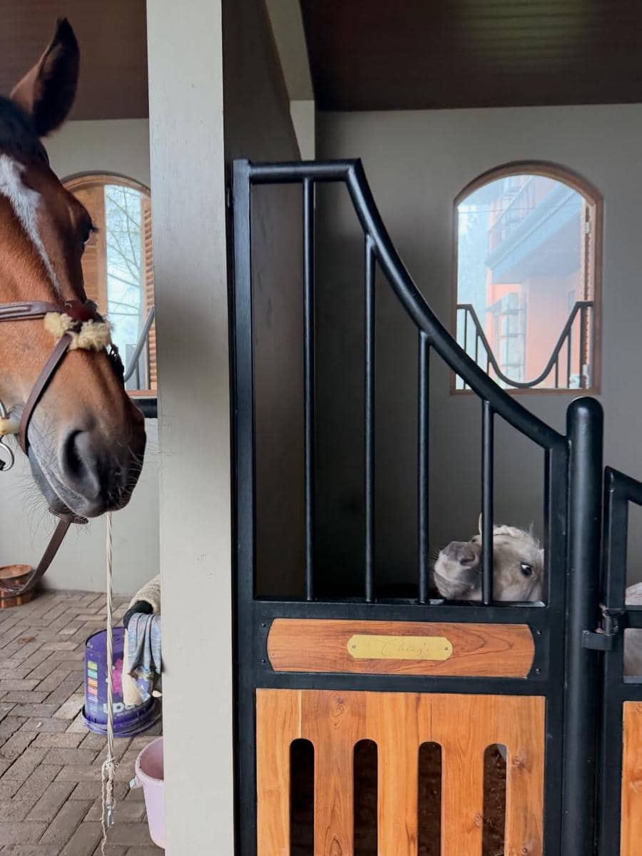 Zaskia Sungkar menikmati liburan di vila setelah melahirkan