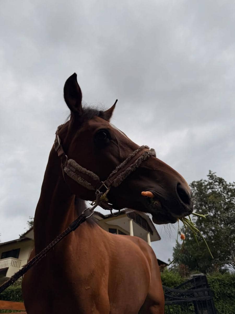 Zaskia Sungkar menikmati liburan di vila setelah melahirkan