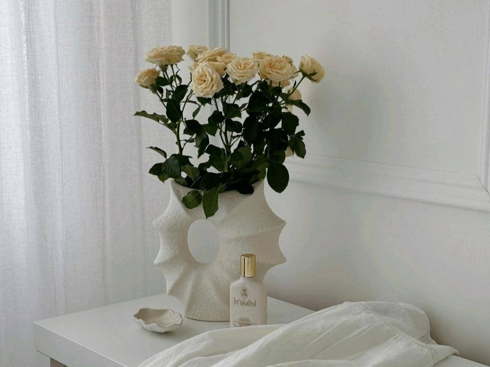 5 Tanaman Hias Berbunga Putih untuk Dekorasi Lebaran, Terkesan Elegan!