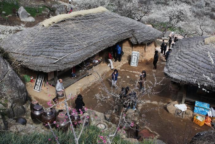 Gwangyang Maehwa Village, Korea Selatan 