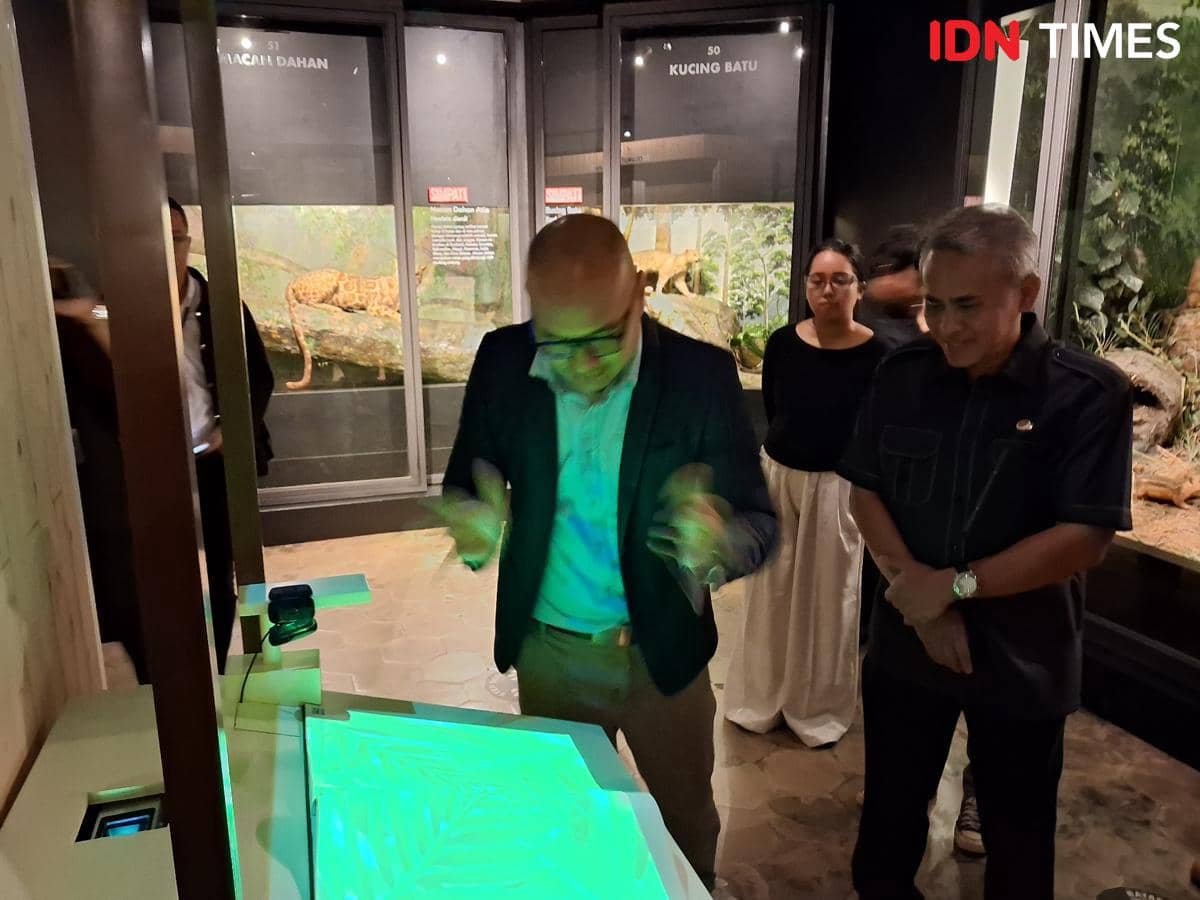 Wajah Baru Museum Zoologi Bogor Hadirkan Wahana Imersif 'Immerzoa'