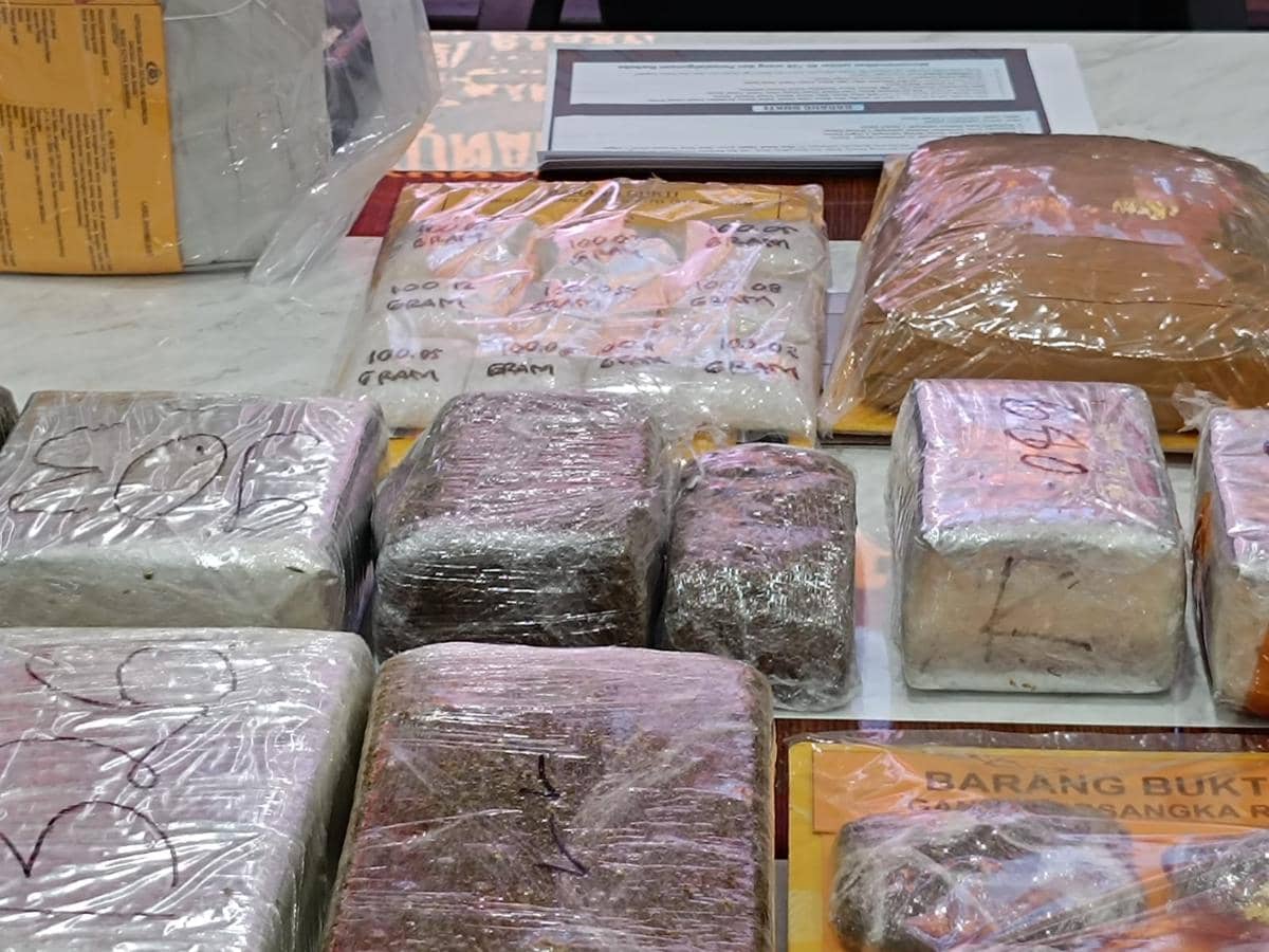 WhatsApp Image 2026-03-11 at 9.58.33 AM.jpeg