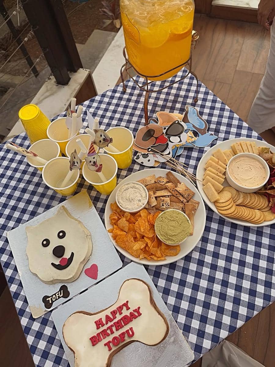 unggahan Krystle D'Souza