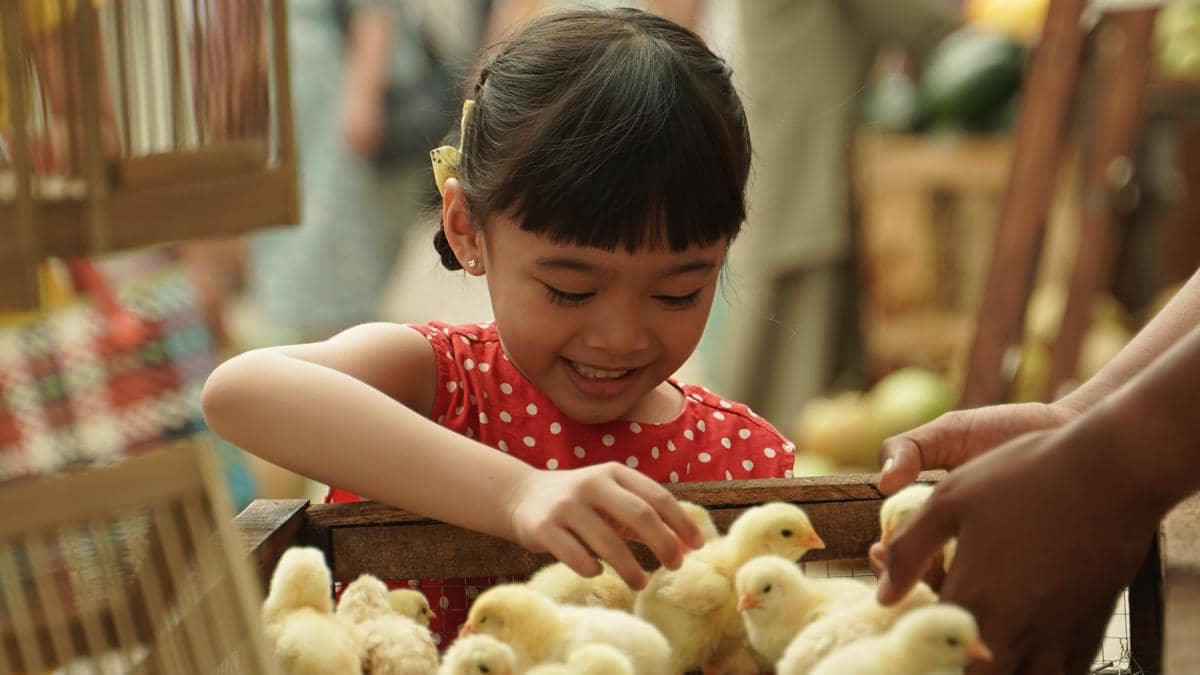 MV5BZjY0MmJkZmEtOTI4OS00NjYxLWI4OTItOGNhMDZmODgwYjg2XkEyXkFqcGc@._V1_ (1).jpg