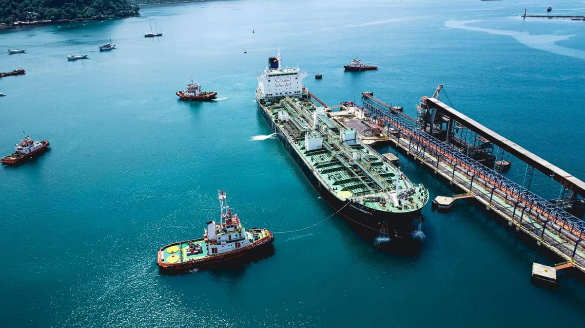 WhatsApp Image 2026-03-10 at 17.51.15.jpeg