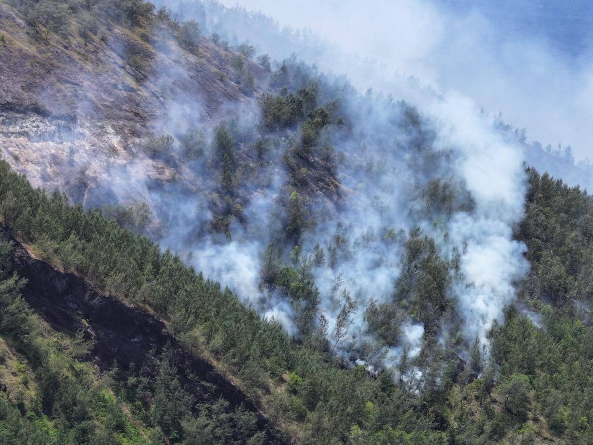 Kebakaran Vegetasi Terjadi di Gunung Iya Ende NTT,  Asap Mengepul