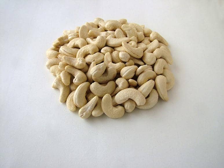 ilustrasi kacang almond 