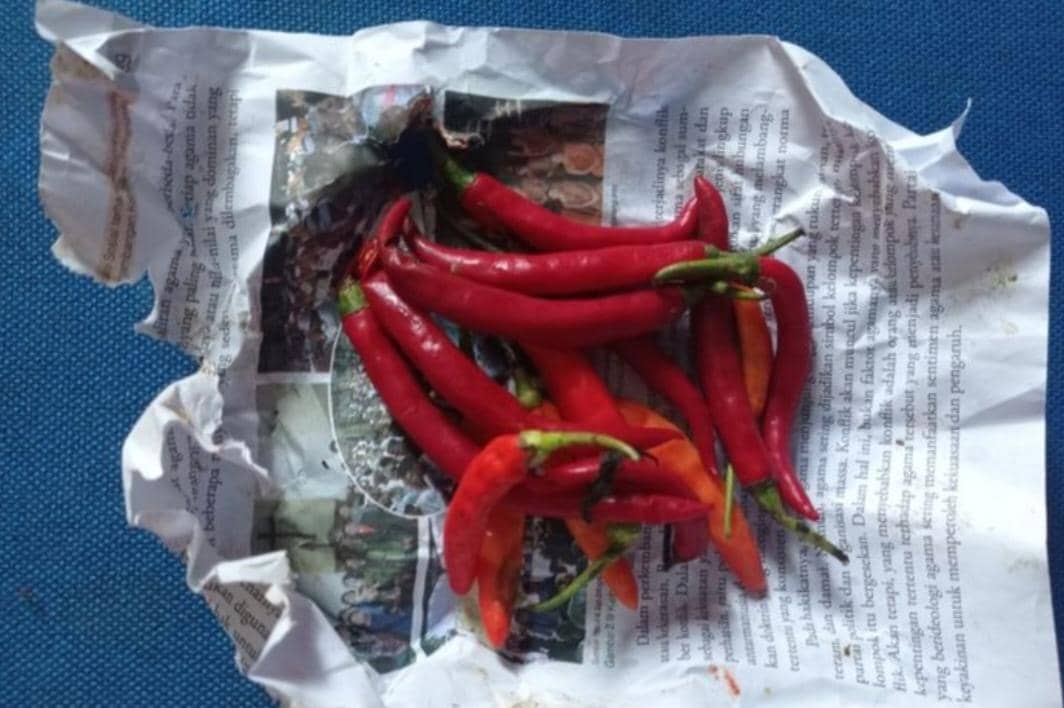 Ilustrasi cabai dibungkus kertas