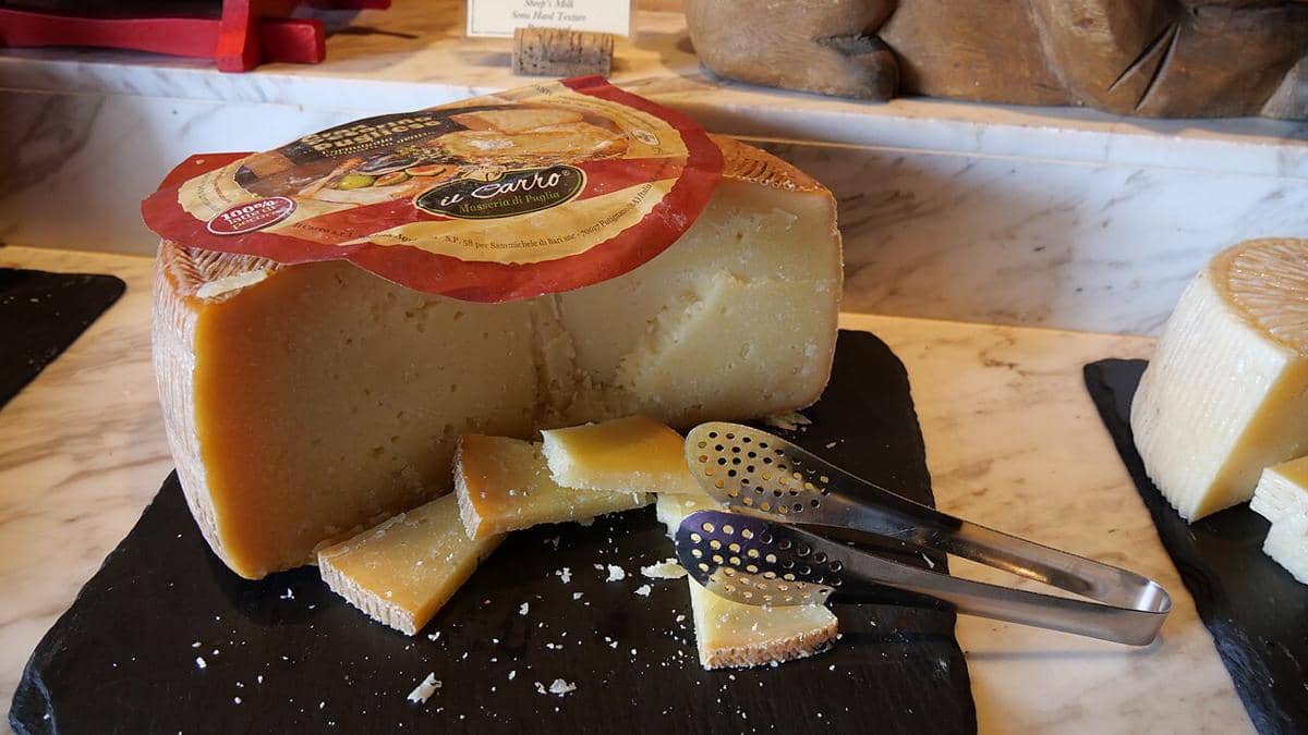 ilustrasi hard cheese 