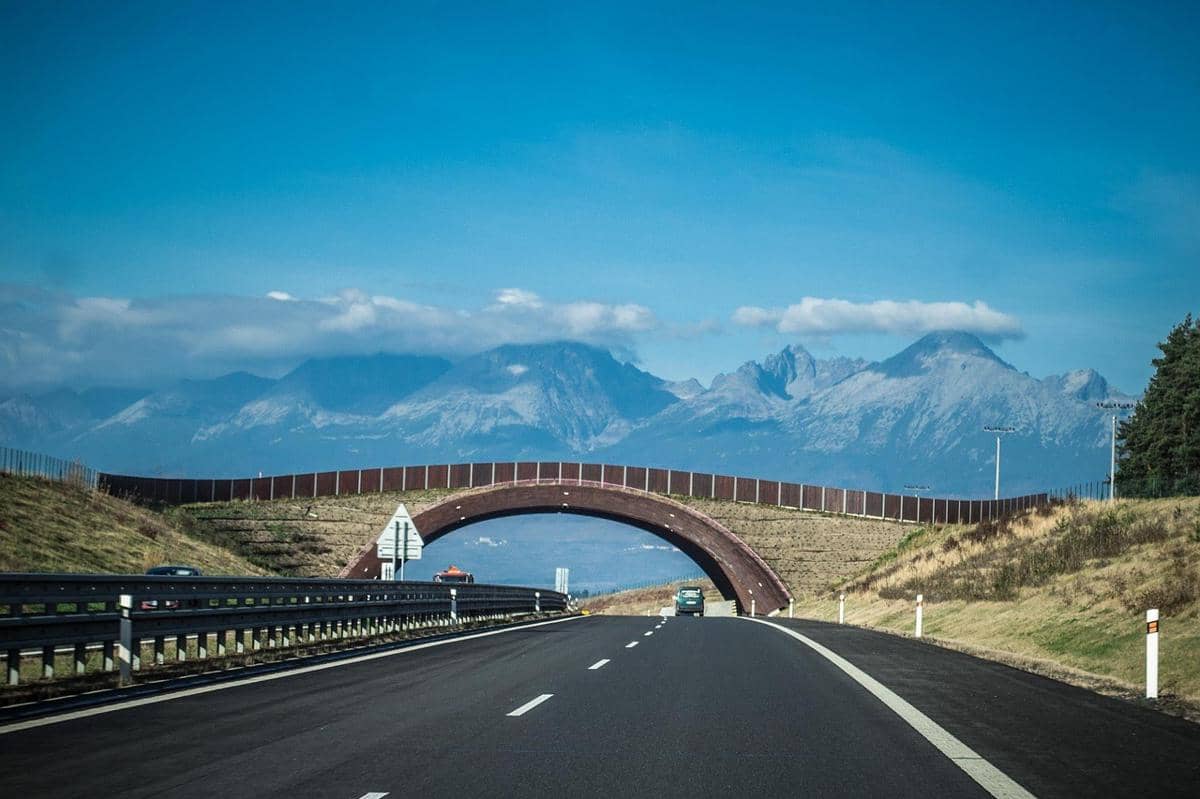 Apakah Boleh Menginap di Rest Area? 