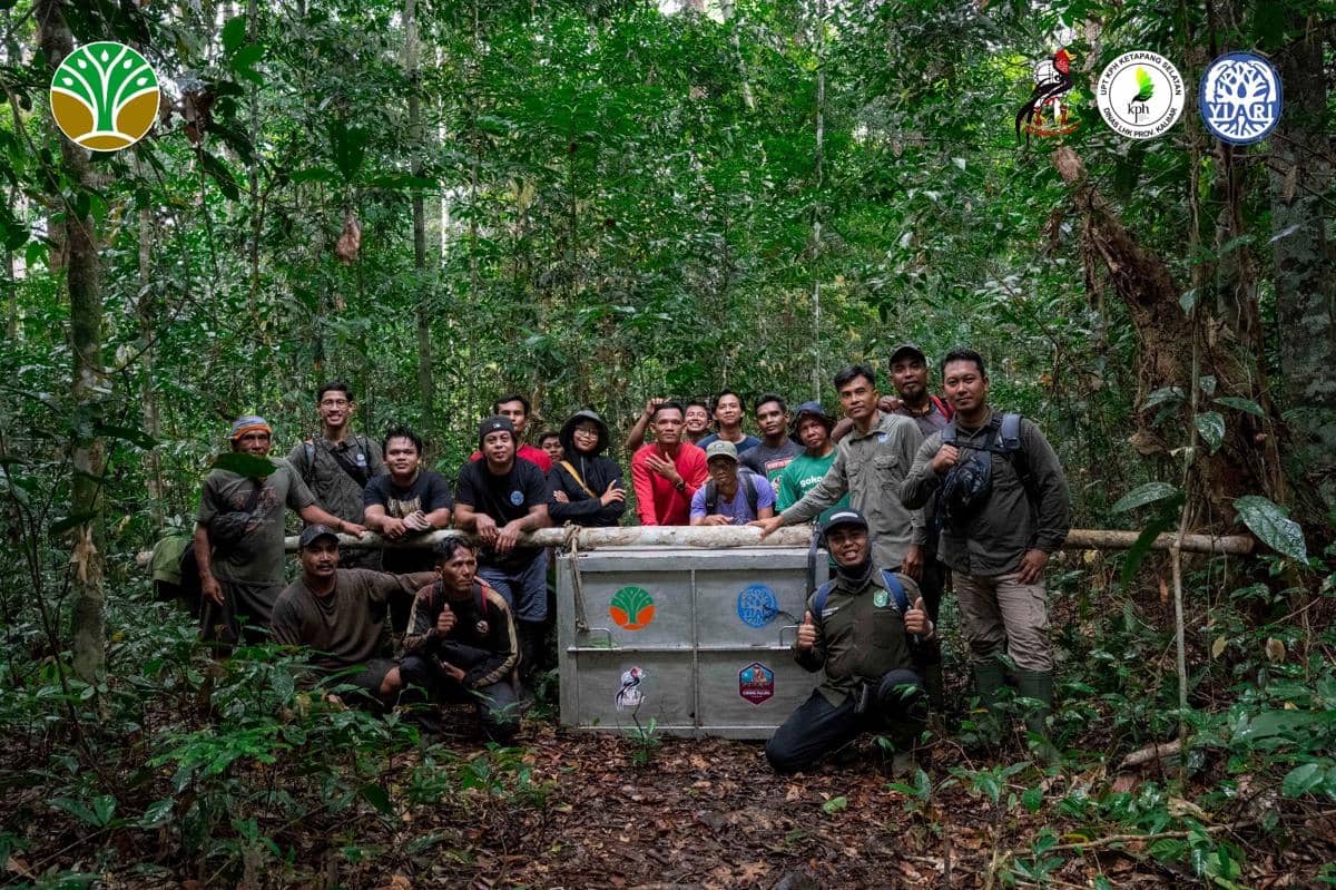 Beruang Madu ditemukan terjerat dan kini dilepasliarkan.