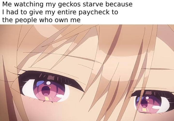 meme anime lagi kere