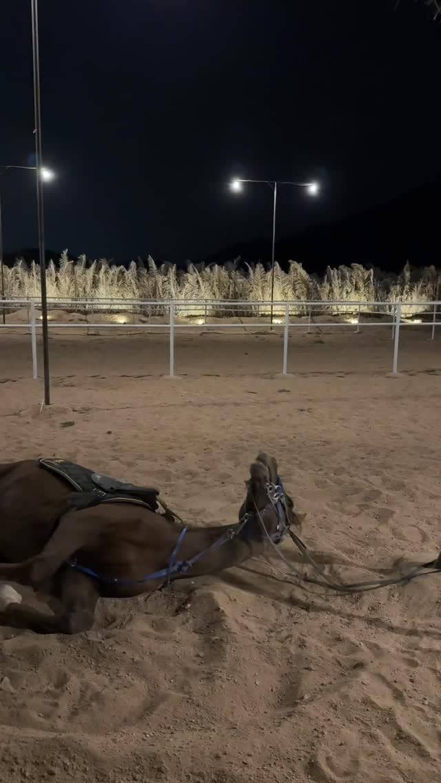 Dara Arafah ngabuburit di Madinah