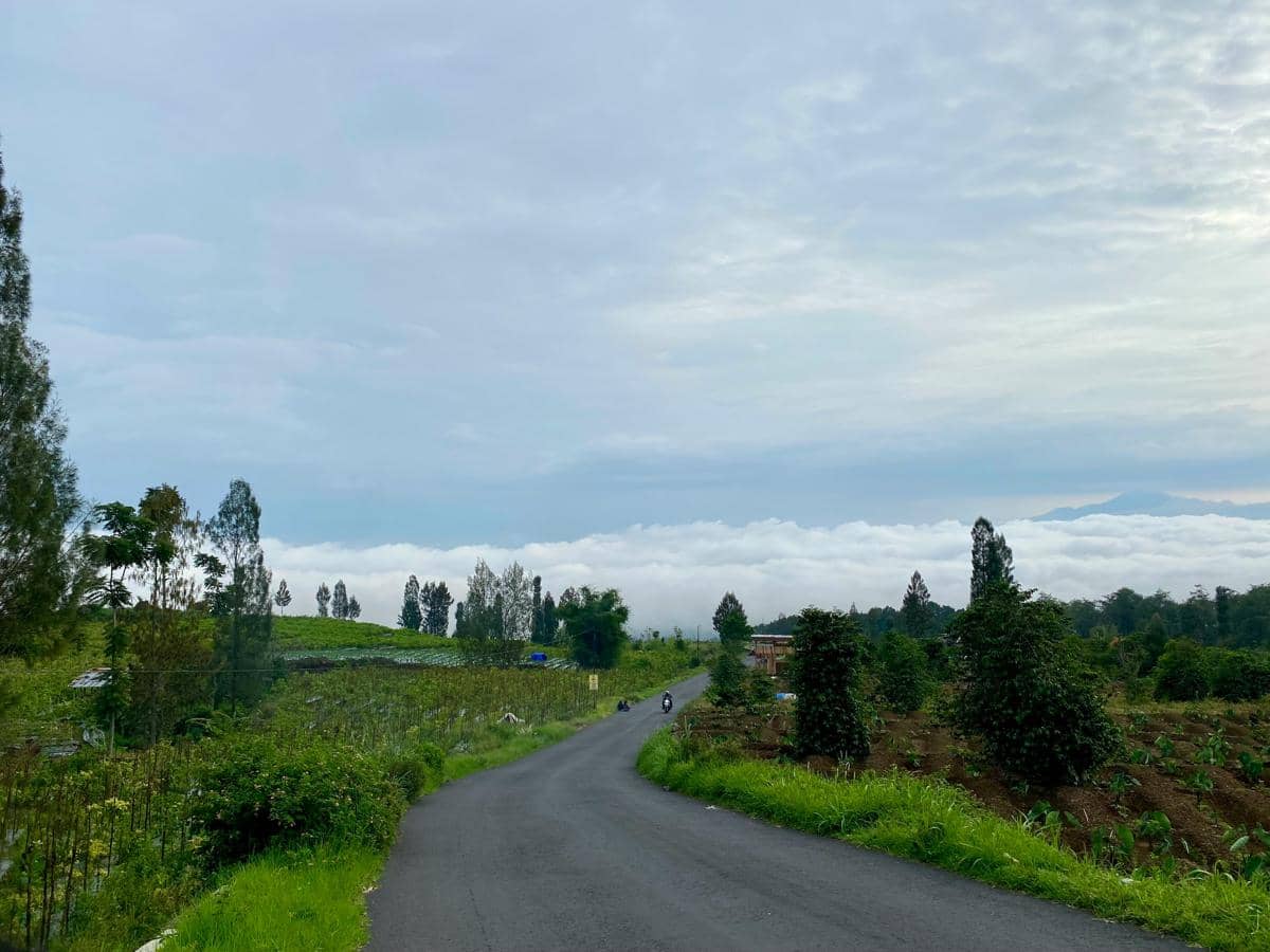 ilustrasi jalan kabupaten