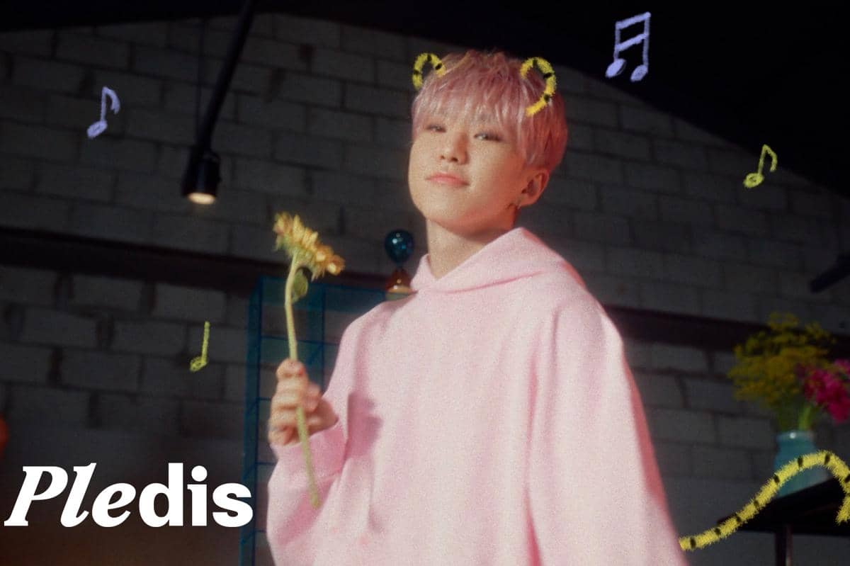 Lirik Lagu Baby, Honey - Hoshi SEVENTEEN, Hadiah untuk CARAT di White Day 