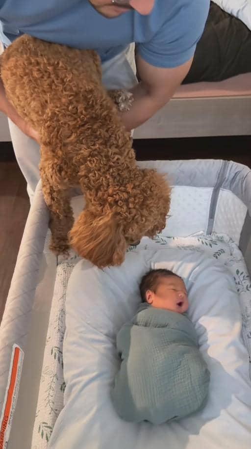 Perdana Baby Thomas Bigenho, Anak Aurelie Moeremans