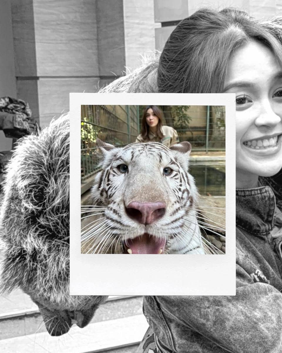 Eca Japasal main dengan satwa di rumah Alshad Ahmad.