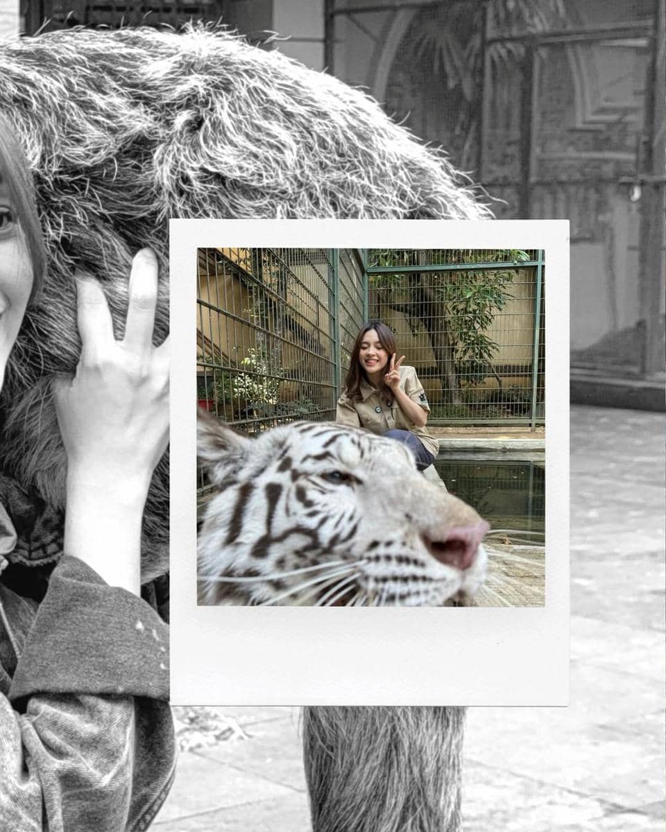 Eca Japasal main dengan satwa di rumah Alshad Ahmad.