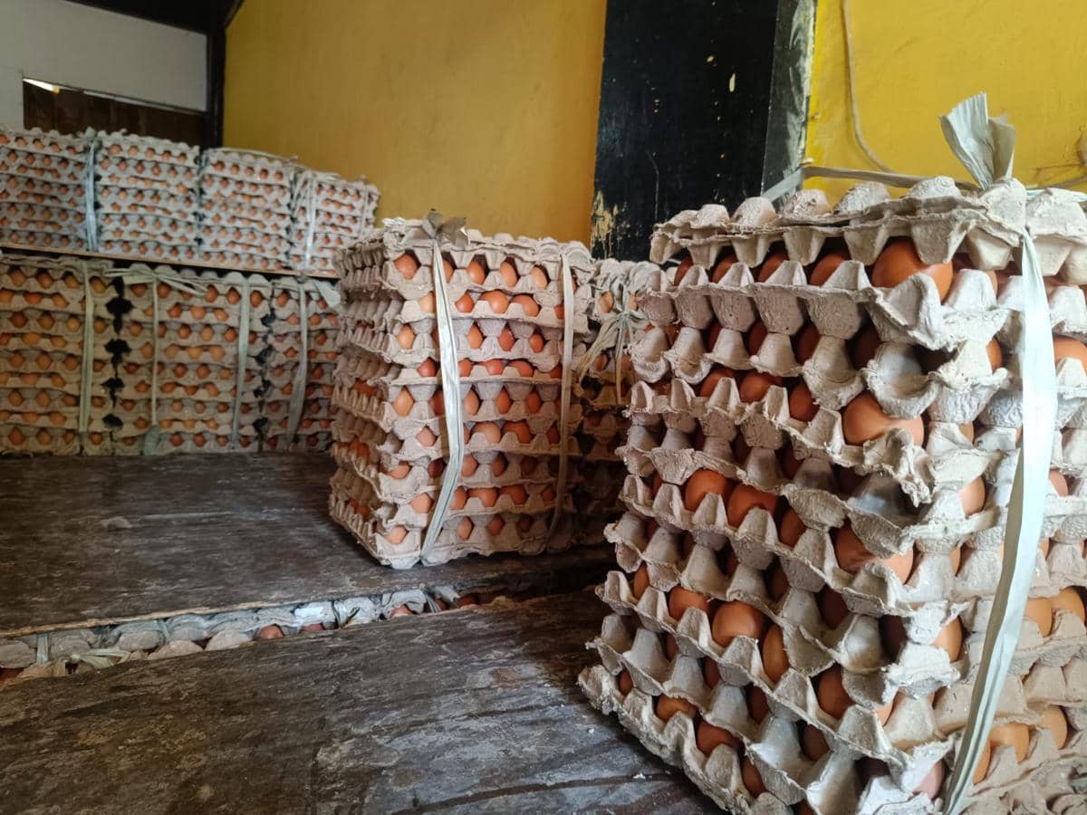 WhatsApp Image 2026-03-15 at 3.47.59 AM.jpeg