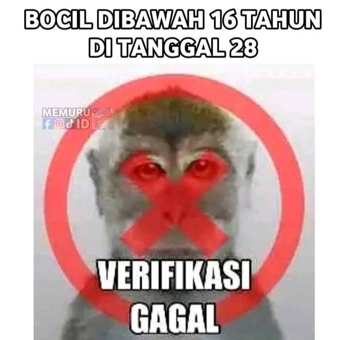 meme anak dilarang main medsos