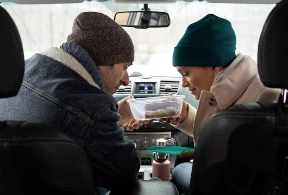 Ilustrasi camilan yang dibawa saat mudik.