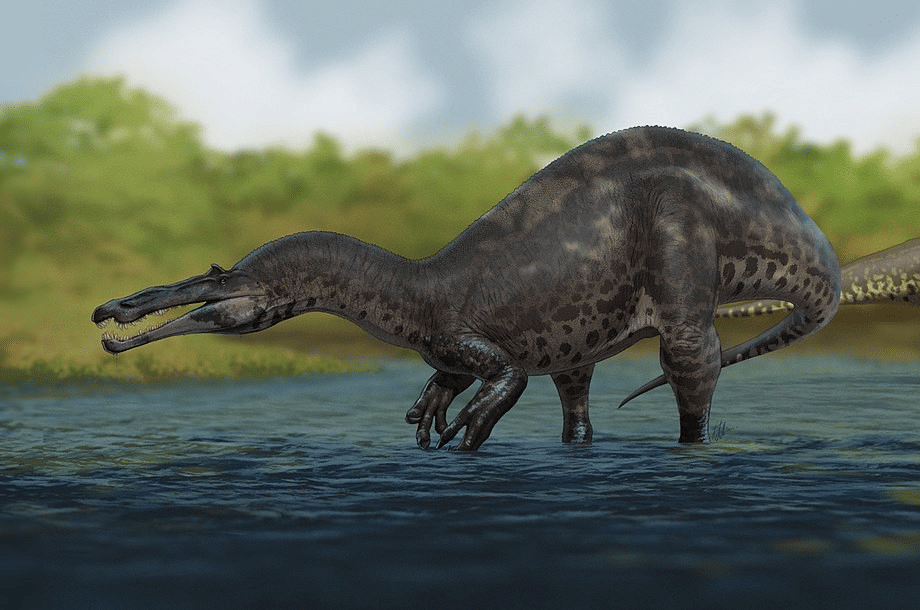 5 Fakta Unik Suchomimus, Dinosaurus Predator yang Mirip Buaya