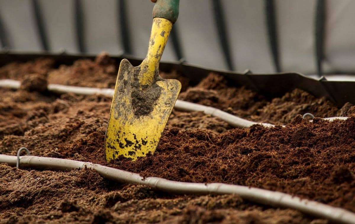 ilustrasi trowel atau sekop kecil