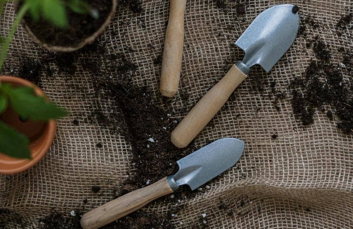 ilustrasi trowel atau sekop kecil