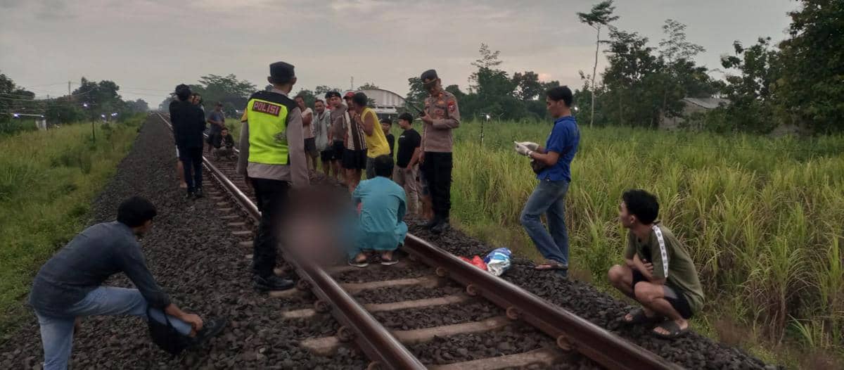 WhatsApp Image 2026-03-16 at 19.11.40.jpeg