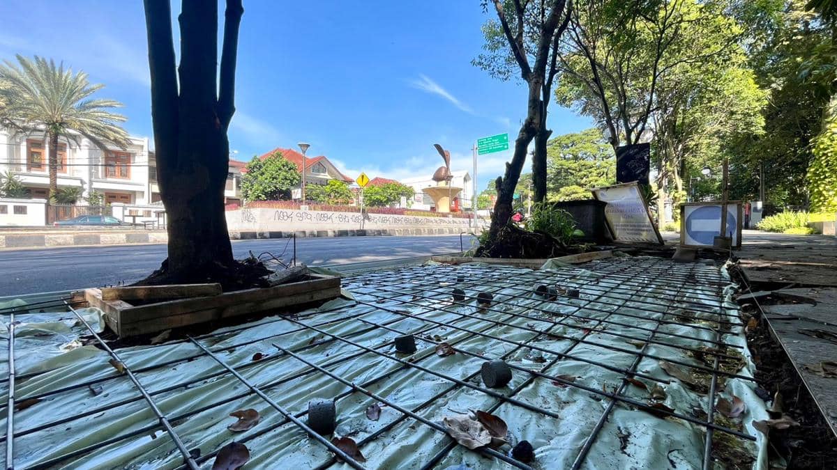 WhatsApp Image 2026-03-16 at 10.16.34.jpeg