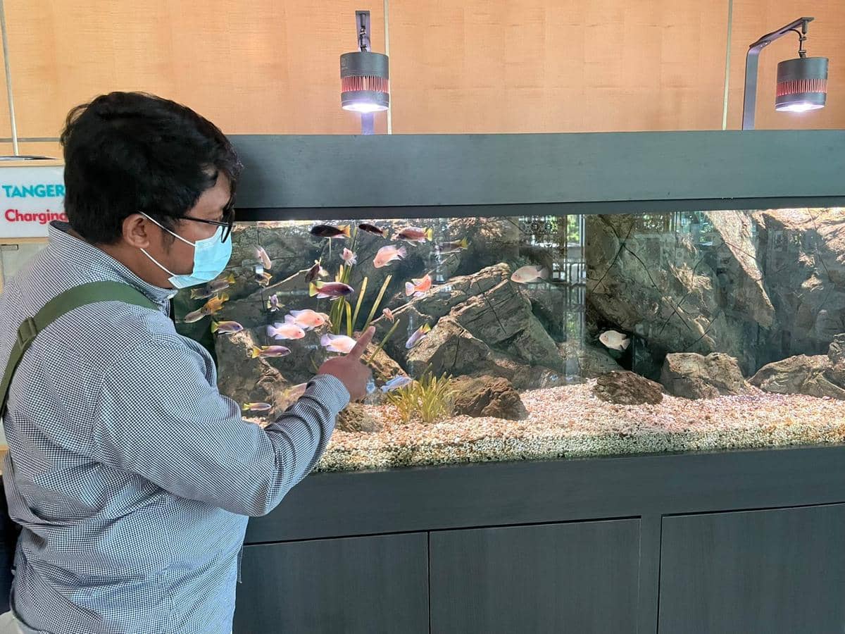 Pemkot Tangsel Belanja Ratusan Juta untuk Sewa Aquarium