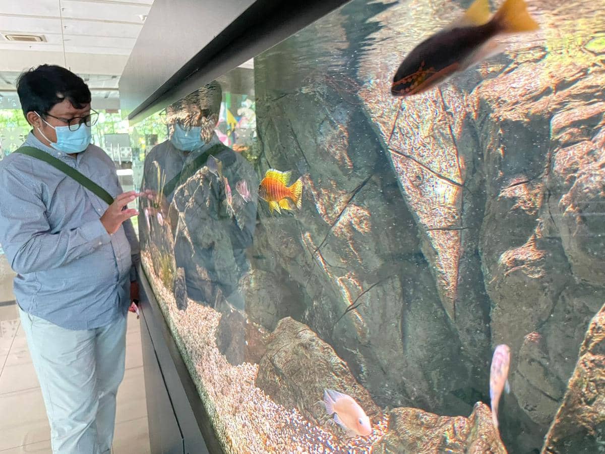 Pemkot Tangsel Belanja Ratusan Juta untuk Sewa Aquarium (IDN Times/Muhamad Iqbal)