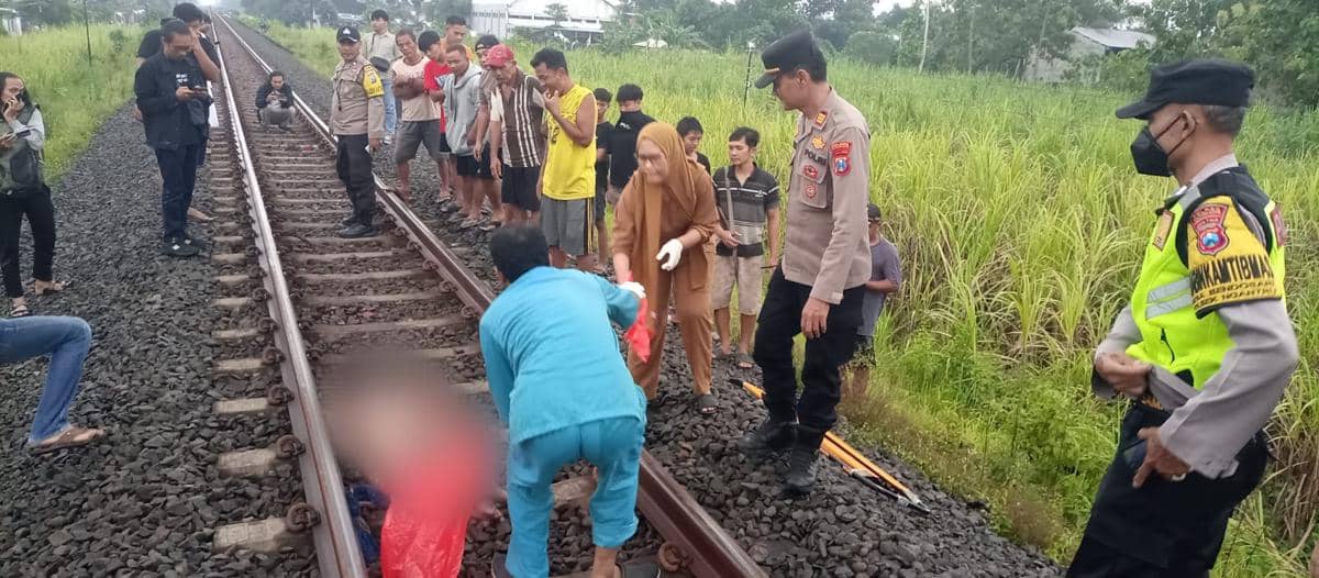 WhatsApp Image 2026-03-16 at 19.12.52.jpeg