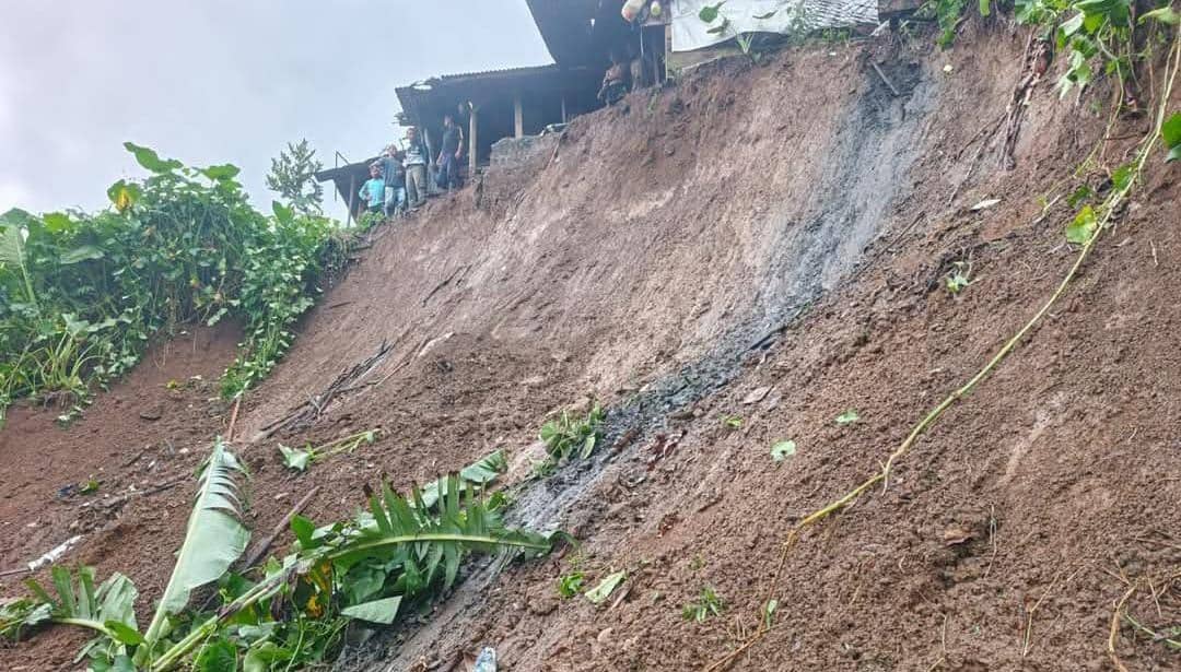 WhatsApp Image 2026-03-16 at 12.52.22.jpeg