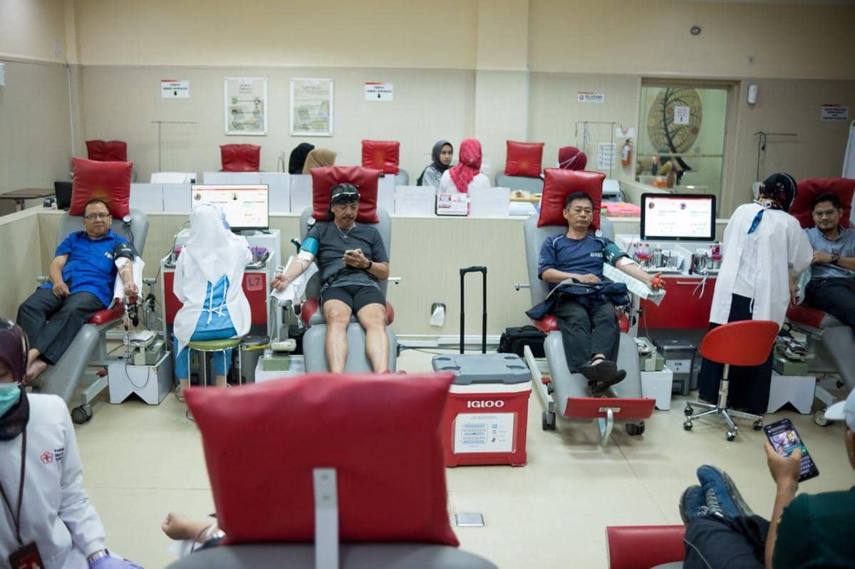 WhatsApp Image 2026-03-16 at 12.10.45.jpeg