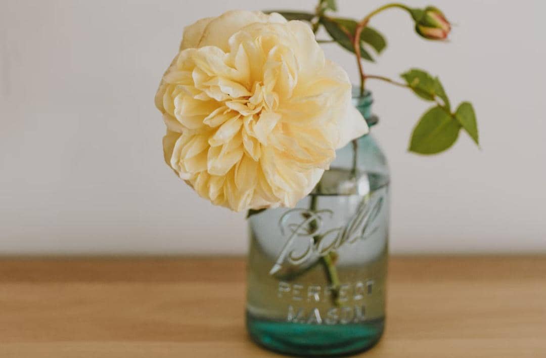 ilustrasi bunga hias