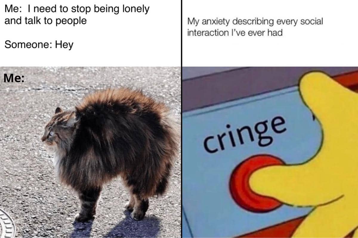 7 Meme Kecemasan Sosial yang Terlalu Relate