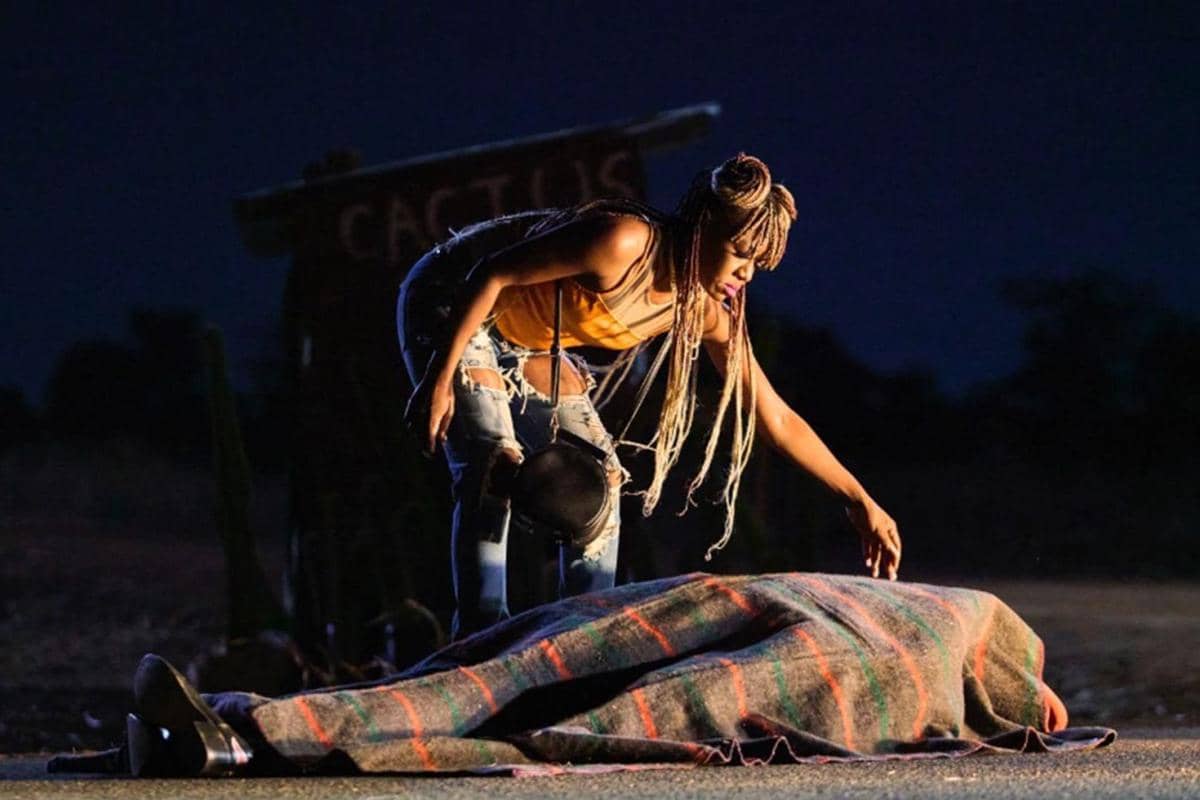 On Becoming Guinea Fowl