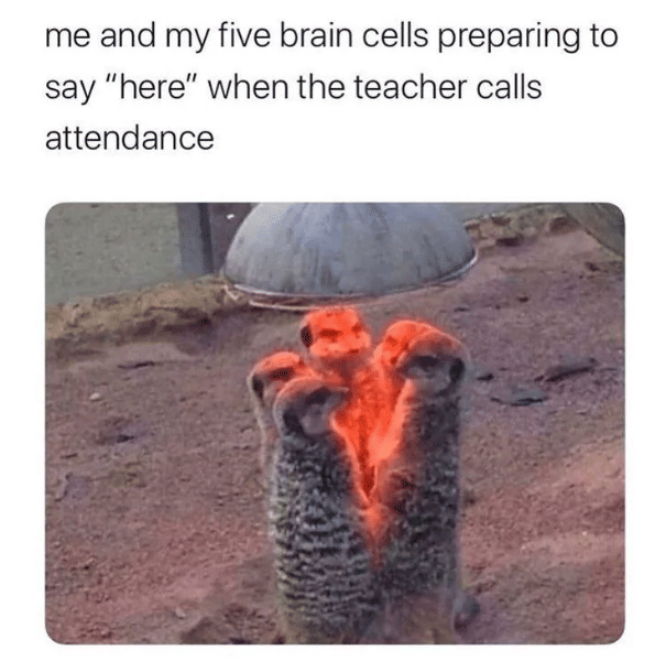 meme hal yang dirasakan orang mudah cemas saat bersosialisasi