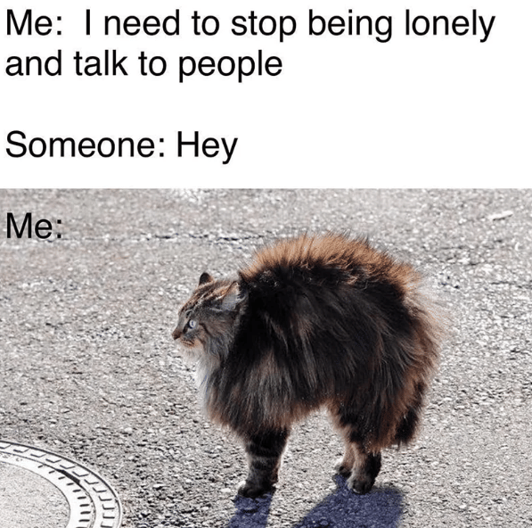 meme hal yang dirasakan orang mudah cemas saat bersosialisasi