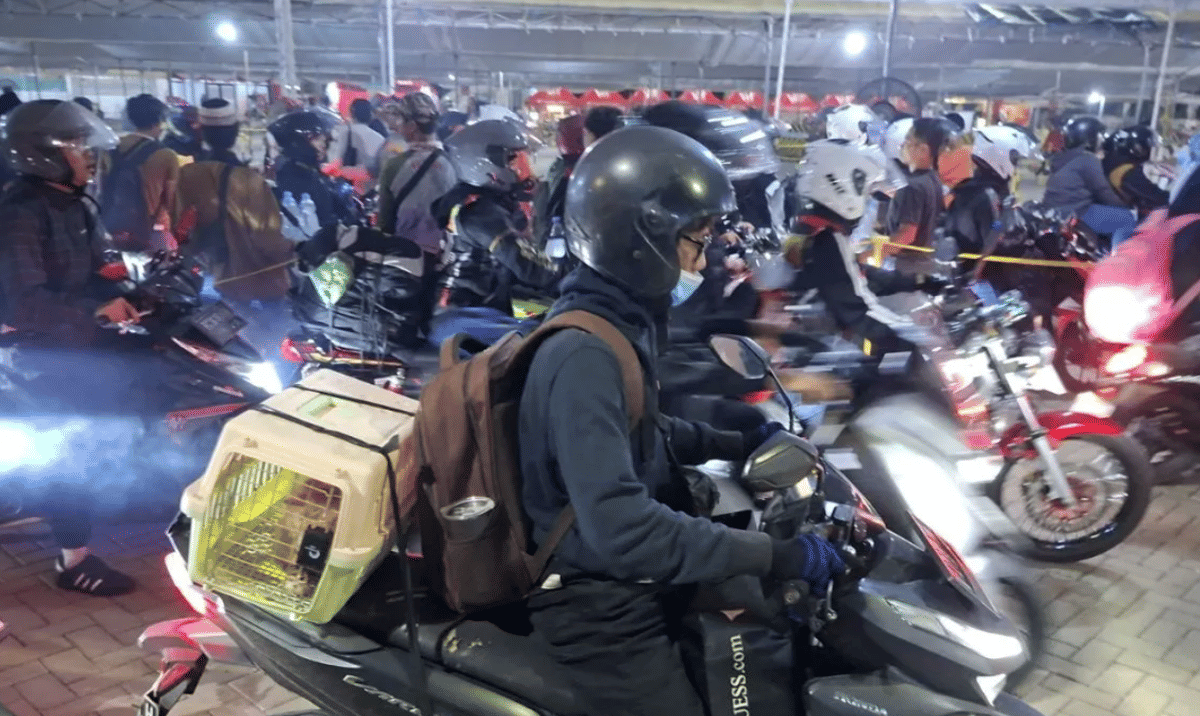 Pemudik dari Tangerang Mudik Bareng Kucing Lewat Pelabuhan Ciwandan