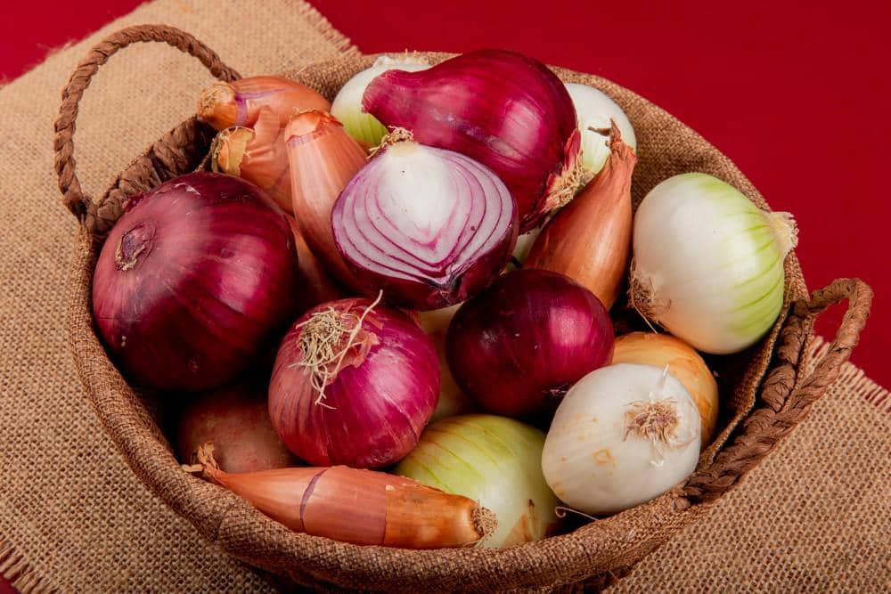 4 Jenis Bawang Bombai, Kenali Perbedaan dan Kegunaannya